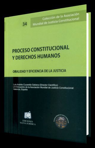 PROCESOS CONSTITUCIONAL Y DERECHOS HUMAN..